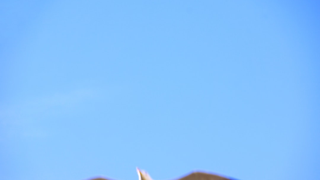 Shinken, Shinken configuration, disaster recovery