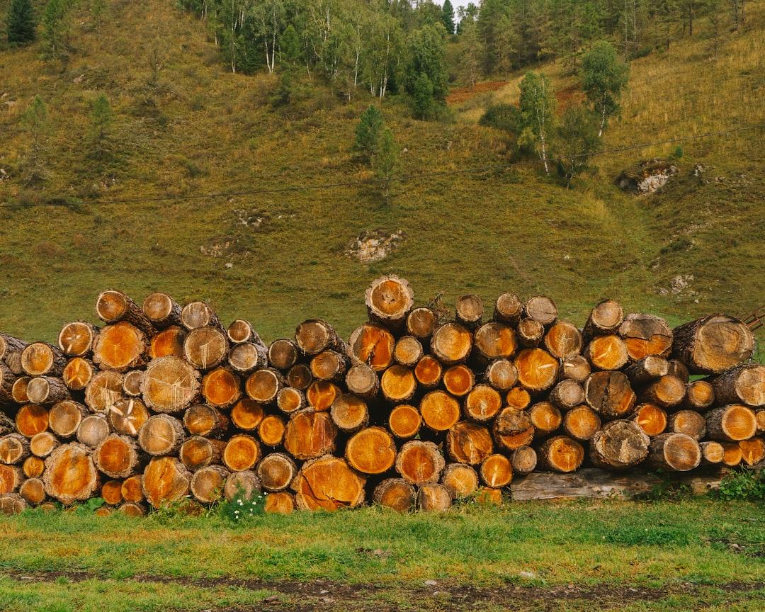 Fluentd+Kibana, Fluentd+Kibana encryption, deduplicated backups