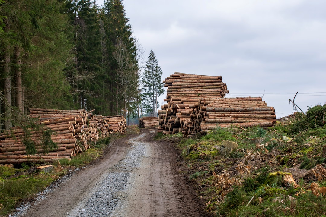 Fluentd+Kibana, Monitoring and logging tool, snapshot management