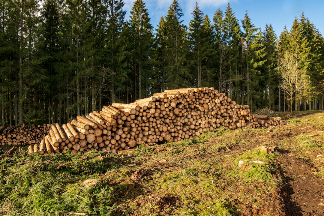 LibreNMS, snapshot management, restore testing