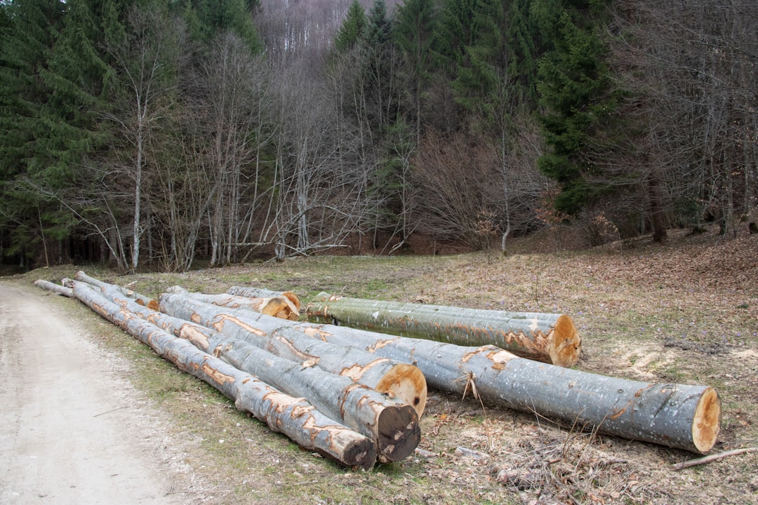 LibreNMS, infrastructure automation, LibreNMS setup