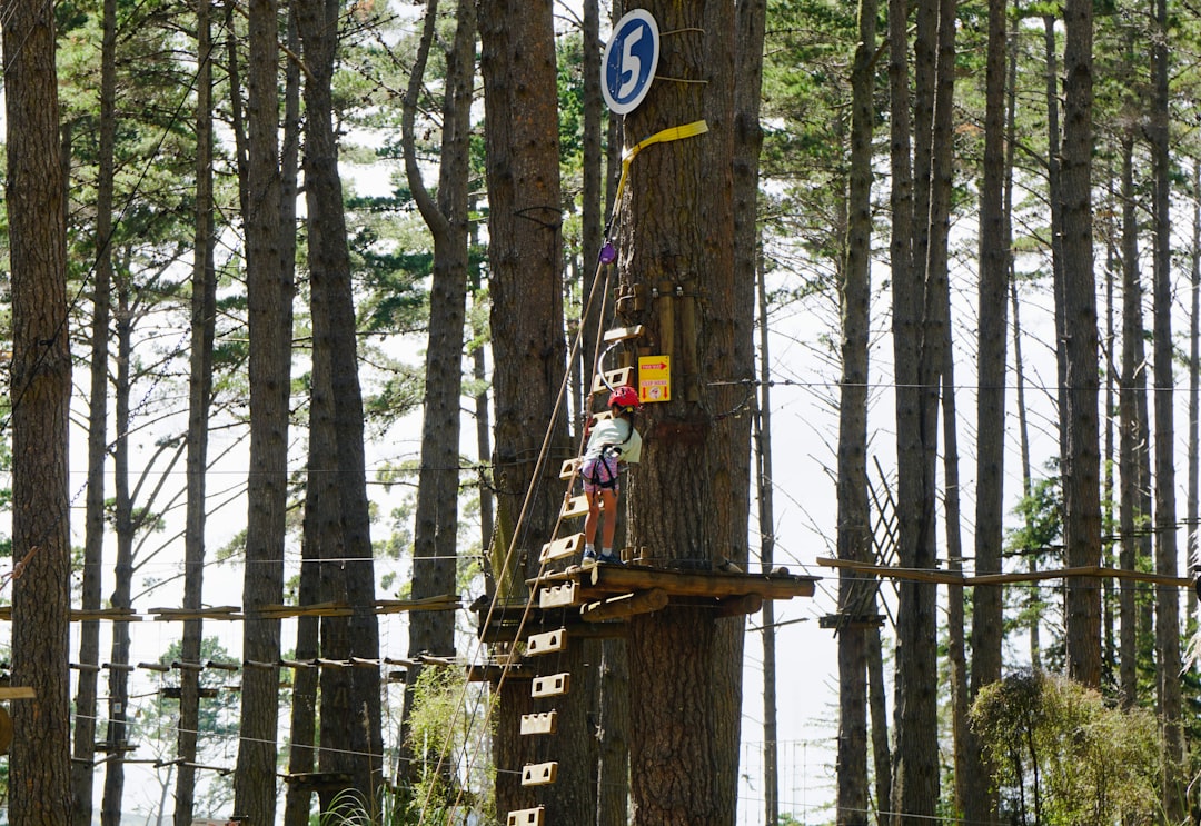 Shinken, restore testing, snapshot management