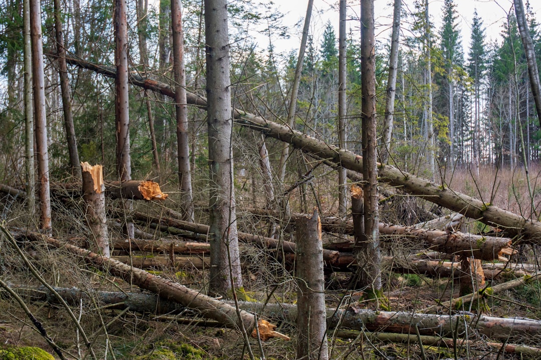 VictoriaMetrics, restore testing, deduplicated backups