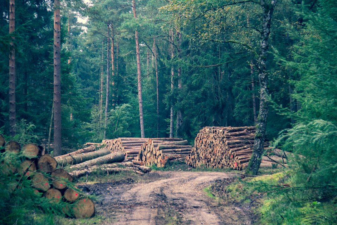 VictoriaMetrics, VictoriaMetrics setup, disaster recovery