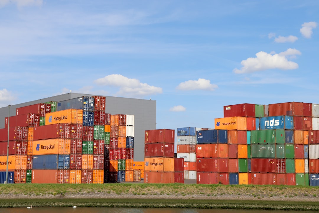 WSL 2+Docker, repository health, deduplicated backups