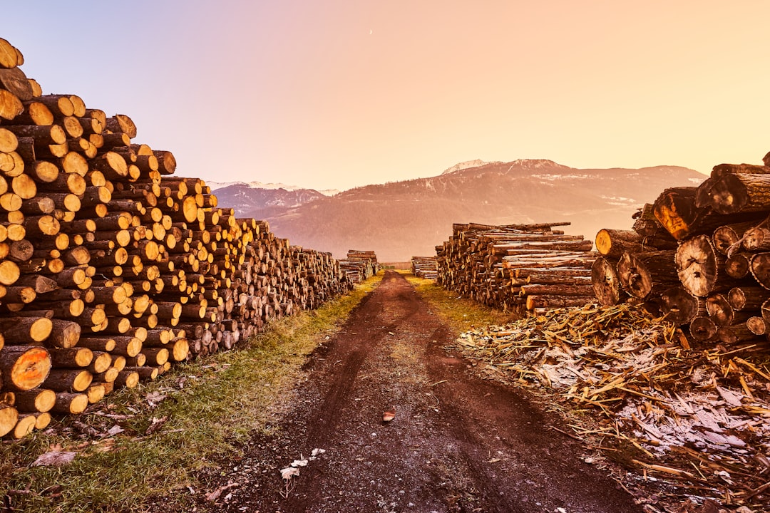 LibreNMS, LibreNMS restore, Monitoring and logging tool