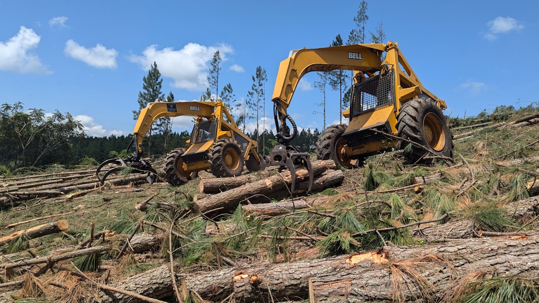 VictoriaMetrics, deduplicated backups, Monitoring and logging tool