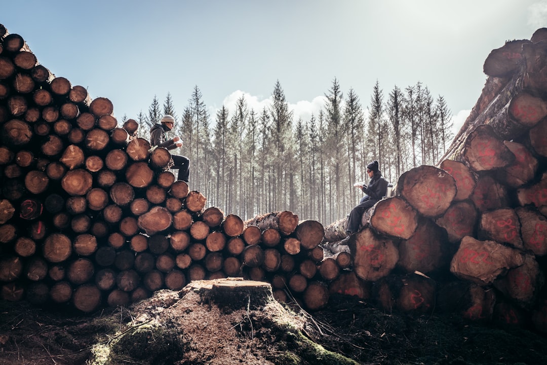 VictoriaMetrics, VictoriaMetrics configuration, VictoriaMetrics restore